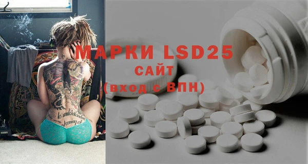 PSILOCYBIN Новозыбков