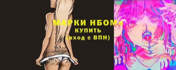 PSILOCYBIN Новозыбков