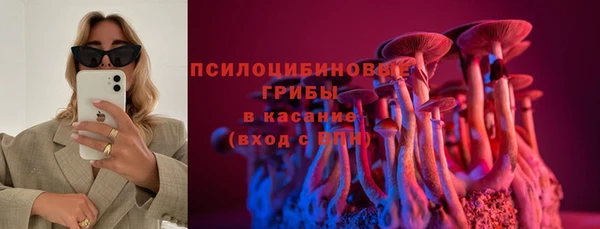 PSILOCYBIN Новозыбков