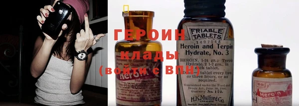 индика Новодвинск