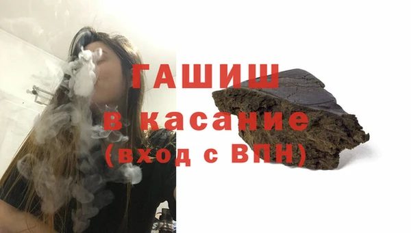 индика Новодвинск
