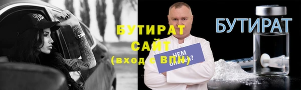 индика Новодвинск