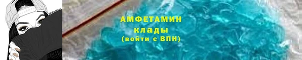 индика Новодвинск