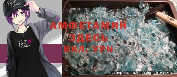 индика Новодвинск