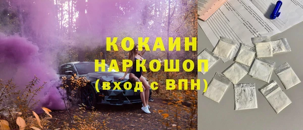 индика Новодвинск