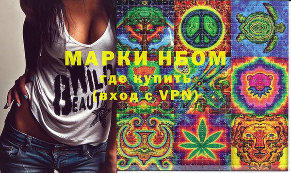 индика Новодвинск