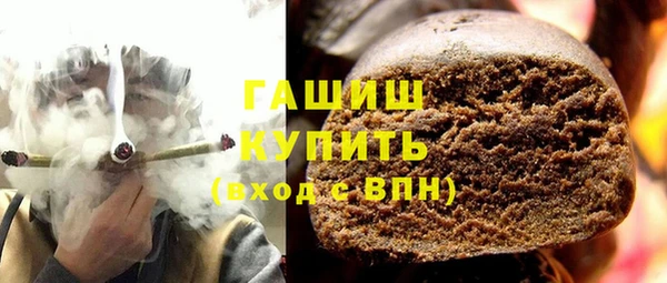 индика Новодвинск