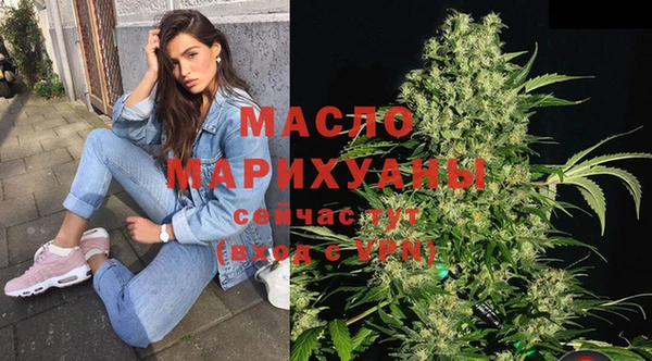 индика Новодвинск