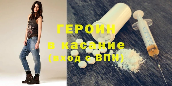индика Новодвинск