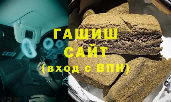 индика Новодвинск