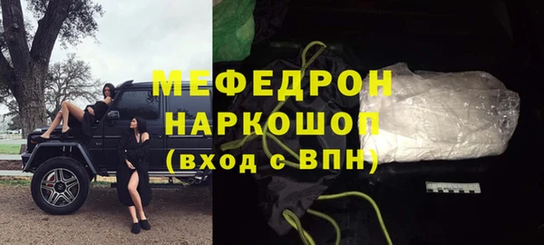 индика Новодвинск