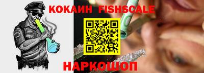 гашик Дубна