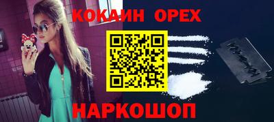 гашик Дубна