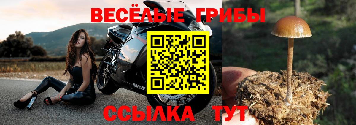Галлюциногенные грибы мицелий  Вход с VPN  Минусинск  Псилоцибиновые грибы мухоморы 