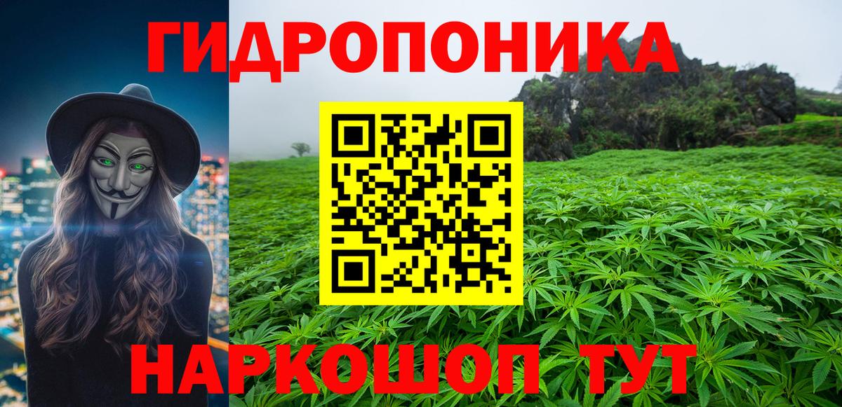 Бошки Шишки OG Kush  Канабис тримм  Вход с VPN  Минусинск 